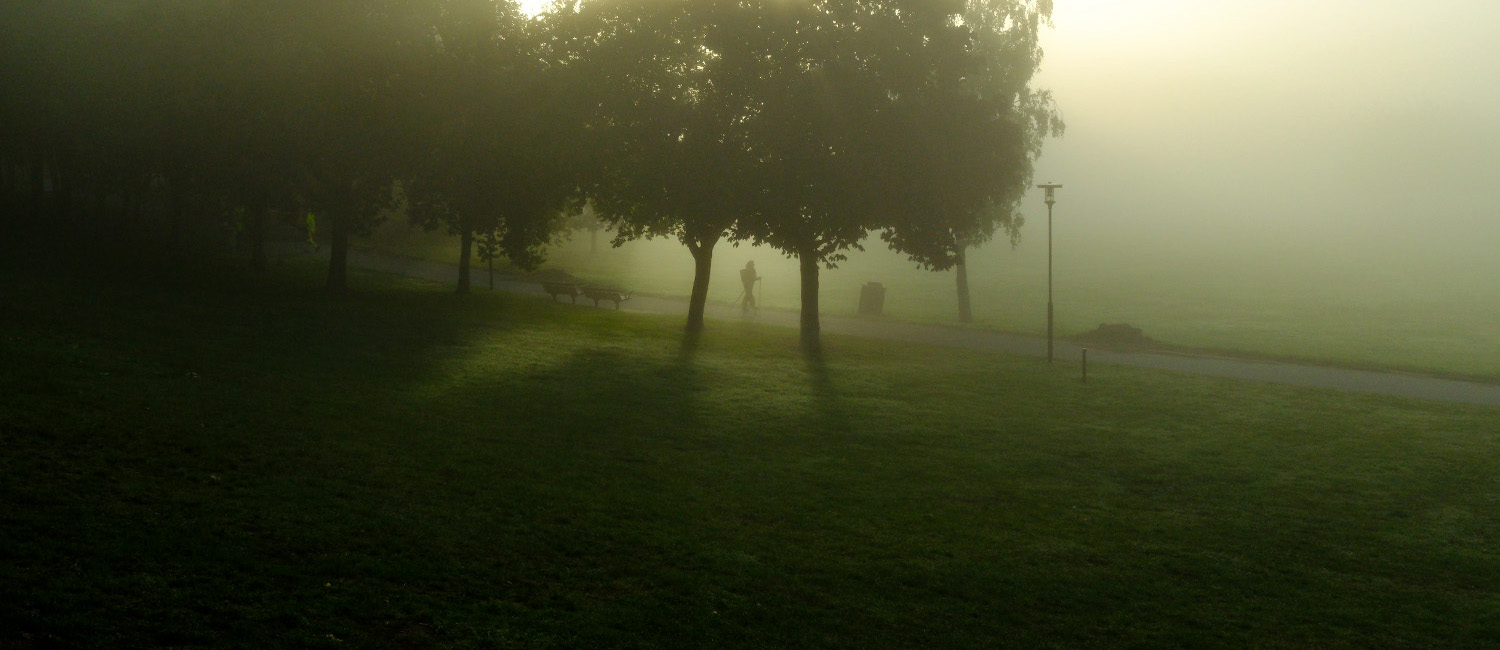 Gröna Träd 1500X550
