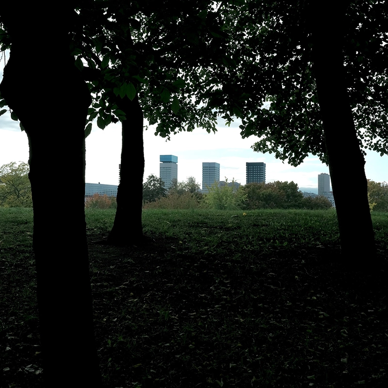 Dekorativ bild i park